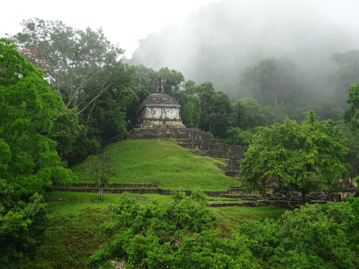 Maya Tempel Temple Palenque Mexico Jungle 